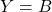 \displaystyle Y=B